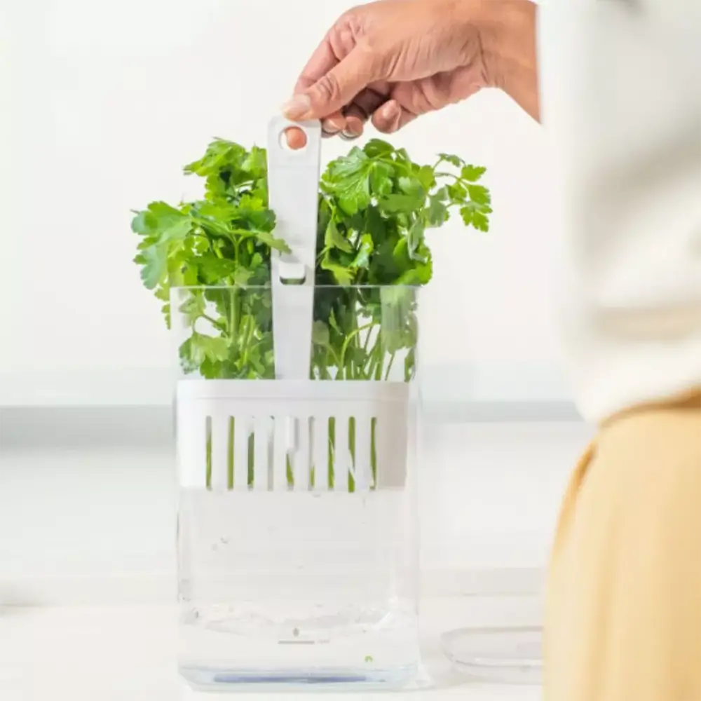 Kit Potes com Drenagem para Temperos FreshBox – 2 Unidades 2,3L